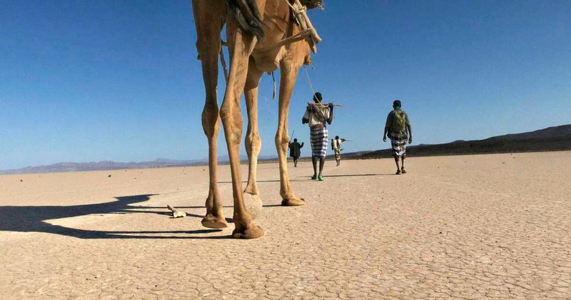 Chicken road casino - Scopri il Segreto di Chicken Road, il Novo Gioco d'Azzardo Italiano