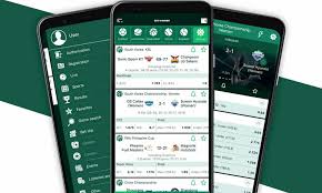 Detailed Guide to the BetWinner Sign In Process